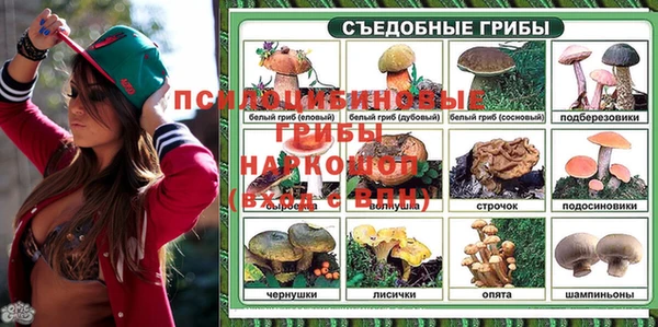 мяу мяу мука Гусиноозёрск