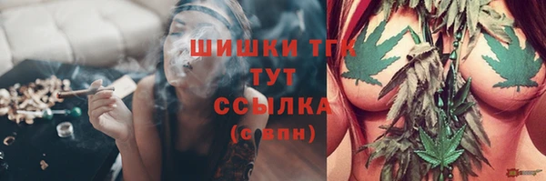 сатива Гусь-Хрустальный