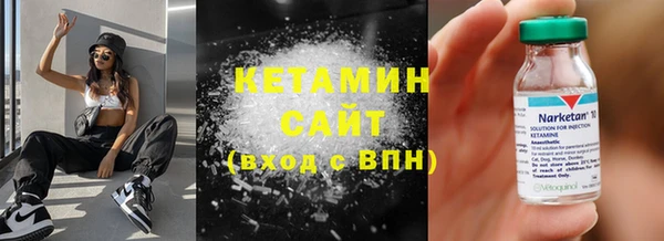сатива Гусь-Хрустальный