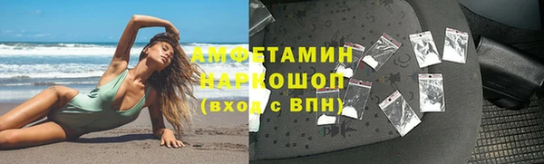 сатива Гусь-Хрустальный