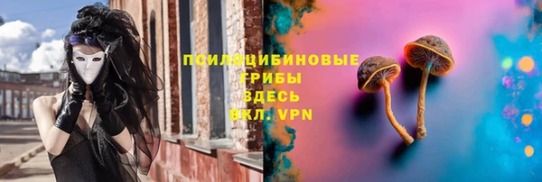 мяу мяу мука Гусиноозёрск