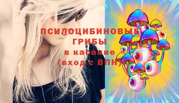 дмт Гусев