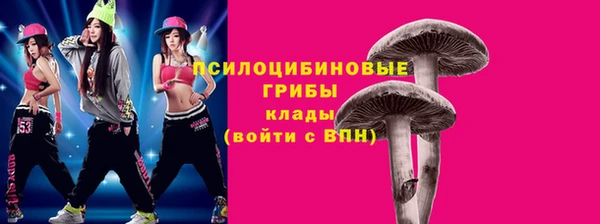 дмт Дмитров