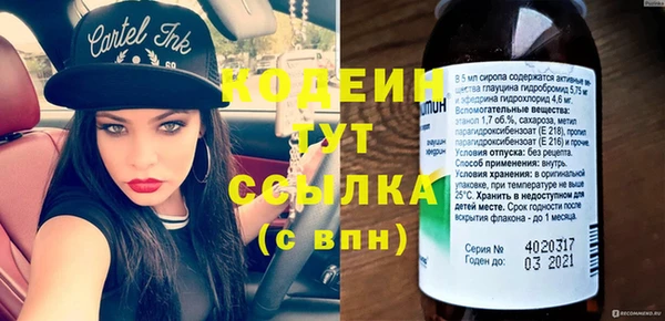 сатива Гусь-Хрустальный