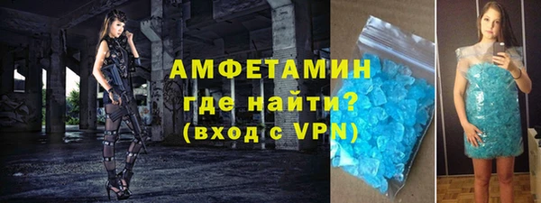 сатива Гусь-Хрустальный
