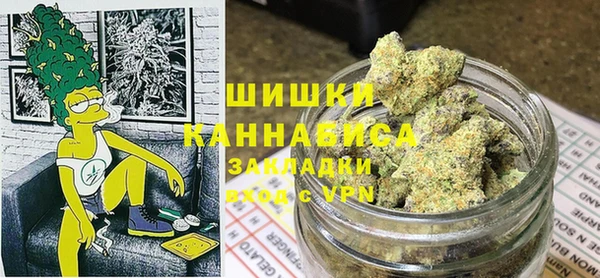 дмт Гусев