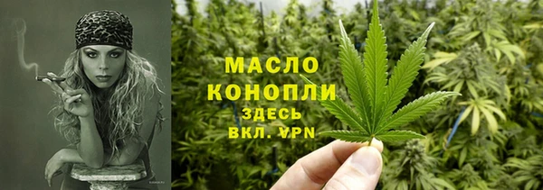сатива Гусь-Хрустальный