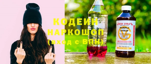 дмт Гусев