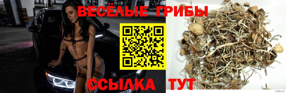 Нурлат  Псилоцибиновые грибы ЛСД  Вход с VPN 